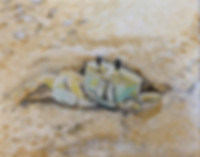 SOLD-PeekABoo.jpeg, crab, beach