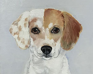 #art #artbuyers #artlover #artforsale #beagle #oilpainting #petportrait