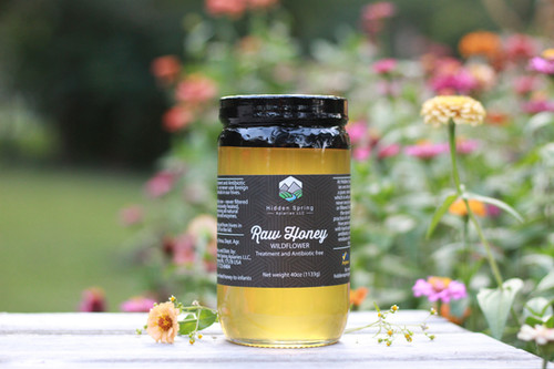 Honey Amazon.com : Bees & Trees Manuka Honey 350+ MGO – Pure New
