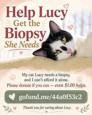 help lucy.png