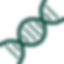 adn (2).png