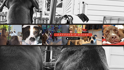 Beige Gray Clean Aesthetic Photo Collage YouTube Banner.png