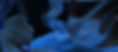 BG-MELHOR TC copiar.jpg