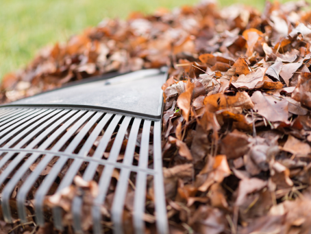 How to Handle Yard Waste During Fall Clean-Up