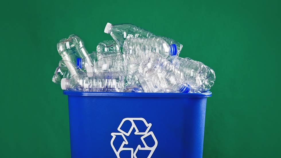 Recycling Myths Debunked: What Actually Belongs in Your Bin?