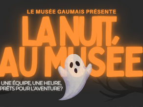 La nuit au musée