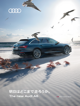 CAR_GRAPHIC_295x222_OL-01.png