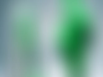 NO SEAT, NO LOOK 2027 Naija