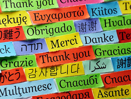 How Language Works