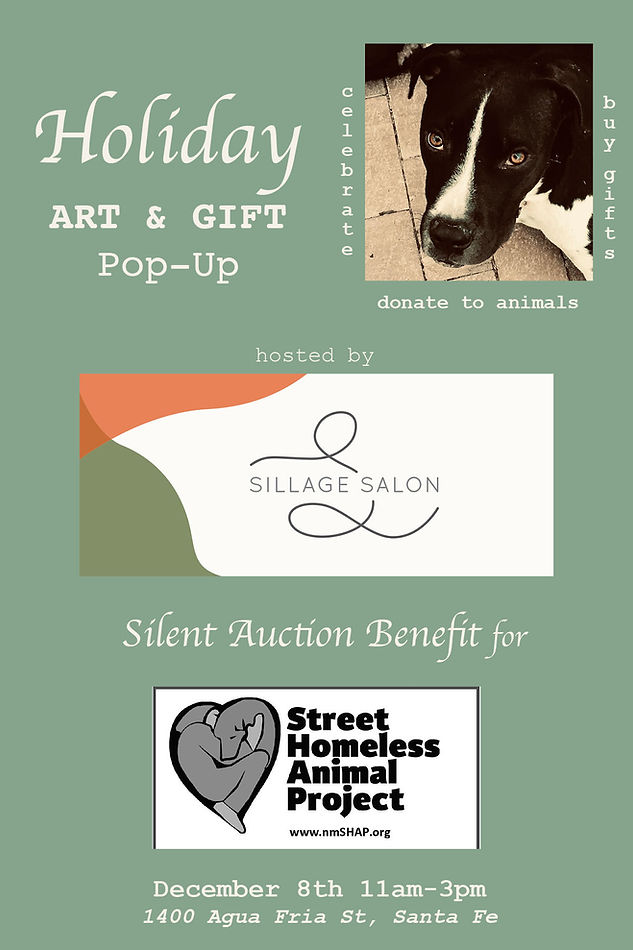 SHAP FRONT PC-sillage silent acution dec 8.jpg
