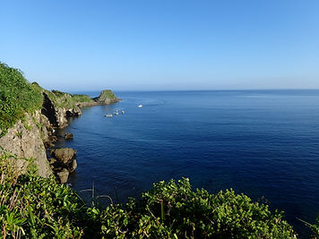 P9100139.jpg