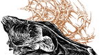 1000029278 (1)_edited.png
