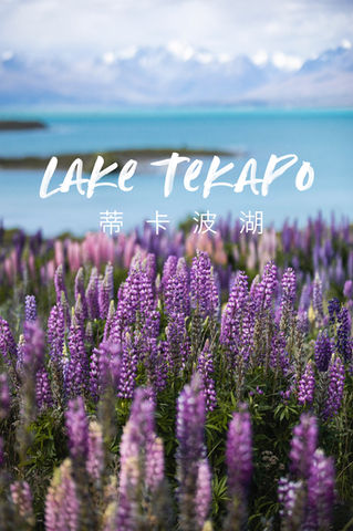 Tekapo