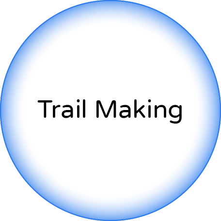 Trail Making