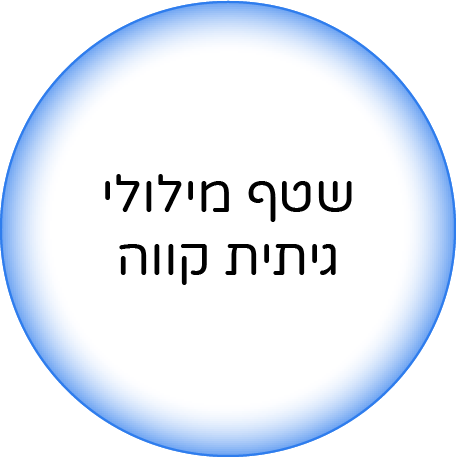 שטף מילולי גיתית קווה