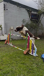 Not all about showing - Jessie having fun 2.JPG