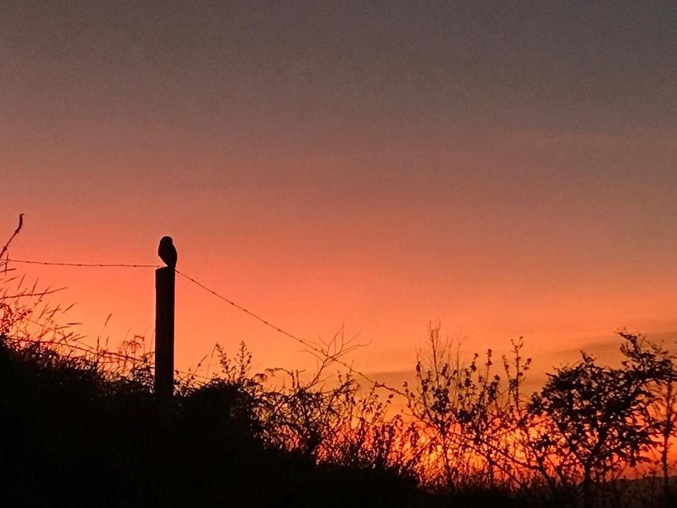 WhatsApp Image 2022-07-30 at 19.57.34.jpeg