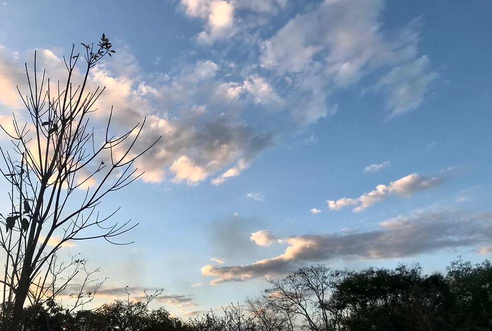 WhatsApp Image 2022-09-23 at 17.25.24.jpeg