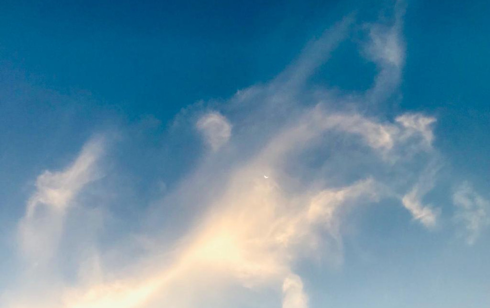 WhatsApp Image 2022-06-11 at 17.04.00.jpeg