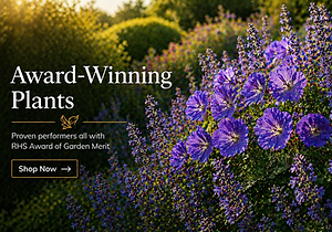 ChatGPT Image Apr 26, 2026, 07_39_05 PM.png