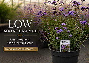 ChatGPT Image Apr 23, 2026, 09_36_04 PM.png