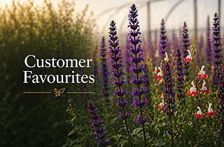 ChatGPT Image Apr 24, 2026, 07_02_45 PM.png