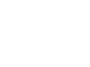 La-Pellegrina_logo 2022_Tavola disegno 1 copia 3.png
