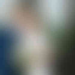 Payson Utah Temple Wedding, Chillion Reception Center Spanish Fork, Utah wedding photographer, Utah wedding photographers, Utah wedding, Photographer in Utah, Best photographer in Utah, Utah County Photographer, Salt Lake Photographer, Salt Lake Wedding Photographer, Affordable Utah wedding photographer, best wedding photographer, Lehi utah wedding