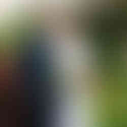 Payson Utah Temple Wedding, Chillion Reception Center Spanish Fork, Utah wedding photographer, Utah wedding photographers, Utah wedding, Photographer in Utah, Best photographer in Utah, Utah County Photographer, Salt Lake Photographer, Salt Lake Wedding Photographer, Affordable Utah wedding photographer, best wedding photographer, Lehi utah wedding