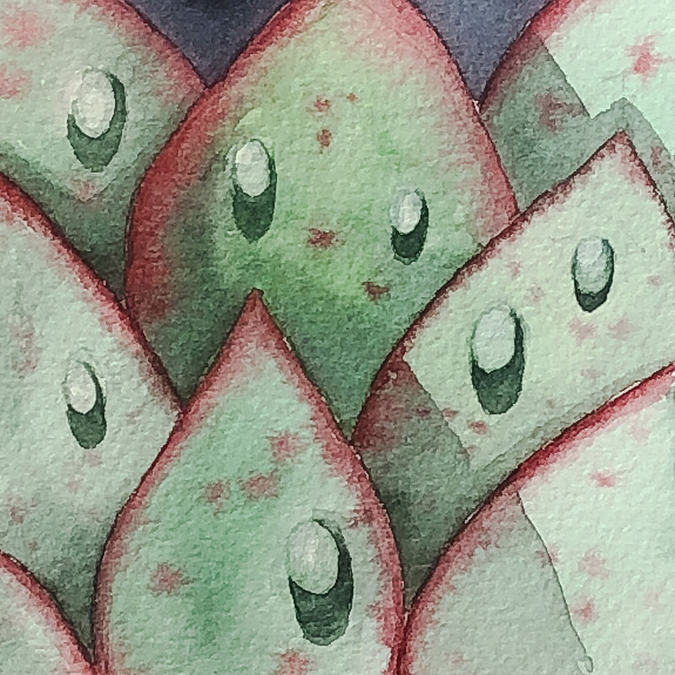 Succulent in Green miniature watercolor painting by Sheryl Brake details
