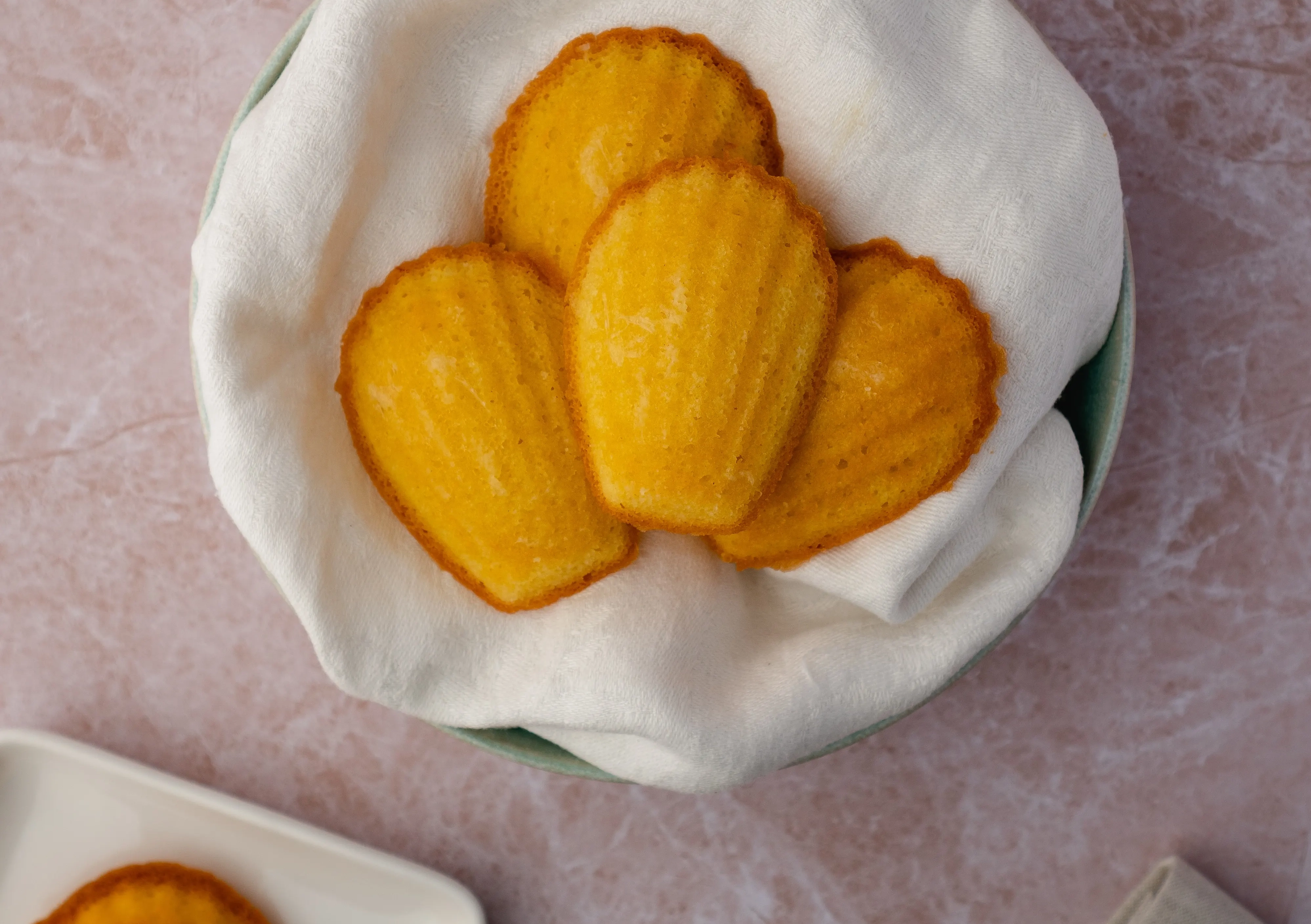 Madeleine coque chocolat