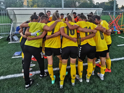 PORAZ V LJUBLJANI, DELO SE NADALJUJE V ZAČRTANI SMERI