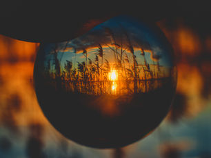 Self-Awareness: Sự Phát Triển Tự Nhận Thức Và Các Loại Tự Nhận Thức