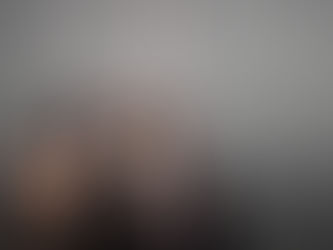 Từ Sahelanthropus đến Homo Sapiens: Tổ tiên của loài người trông như thế nào?