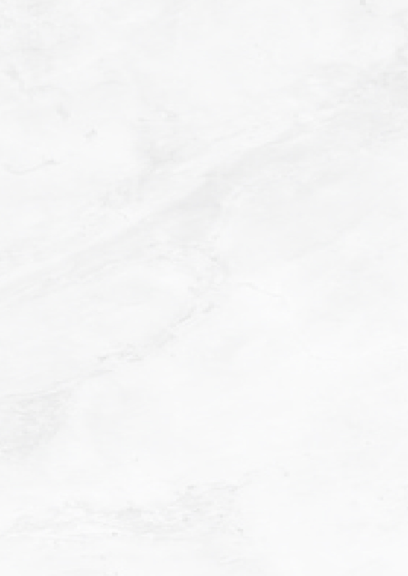 Fond 1.png
