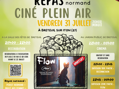 Repas ciné plein air - vendredi 31 juillet 