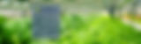 SOFTWARE SaaS&IoT-H5-2.jpg