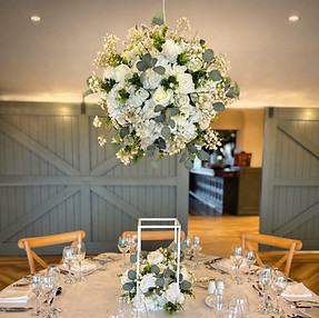 hanging ball amended_edited.jpg