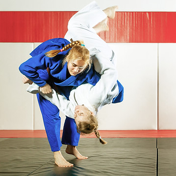 Jujitsu Training