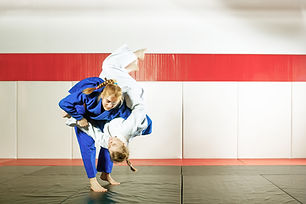 Jujitsu Training