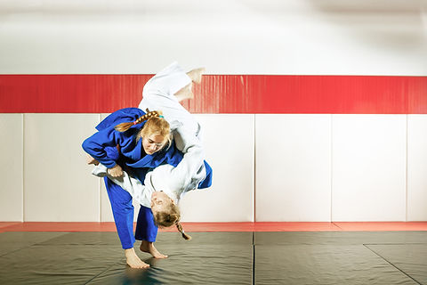 Jujitsu Training