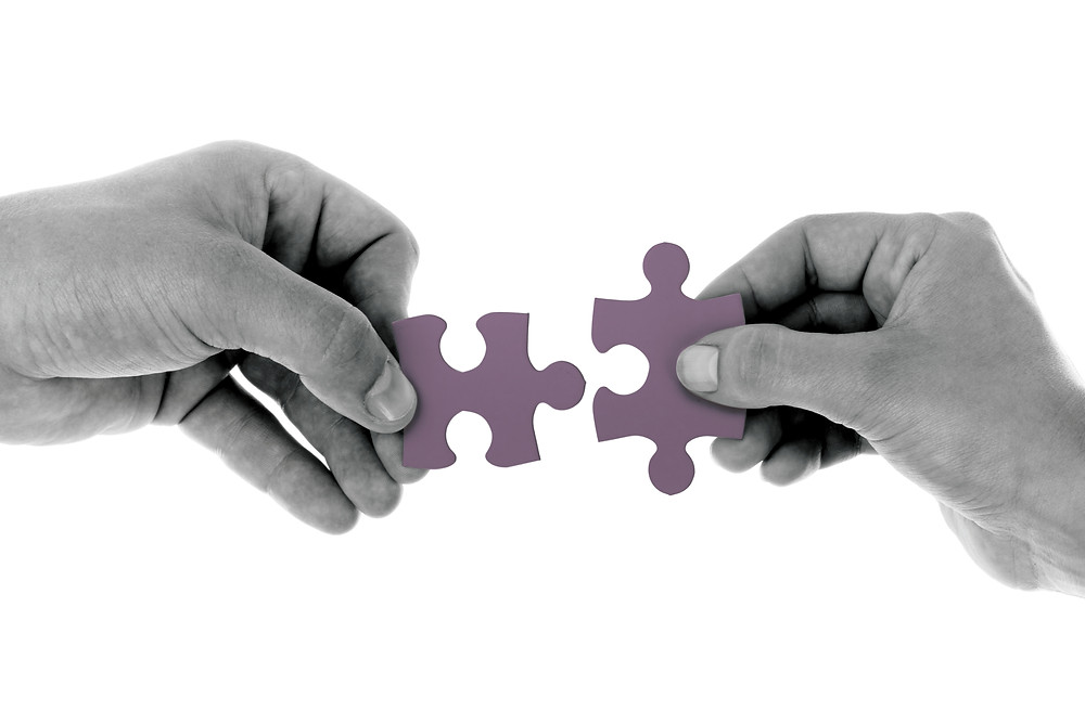 Interoperability puzzle pieces