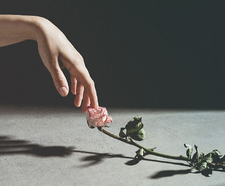 Screen Shot 2021-09-23 at 5.29_edited.jpg