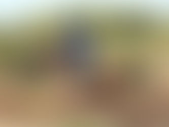 FIVE TO FOLLOW 2025/2026: ALAN HILL