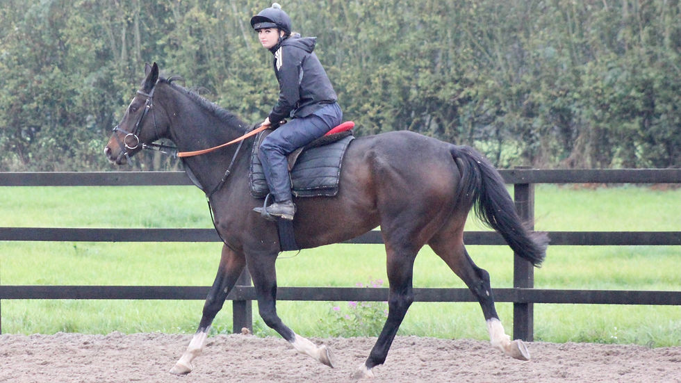 Poppy Strachan and Java Point in the manege (Caroline Exelby)