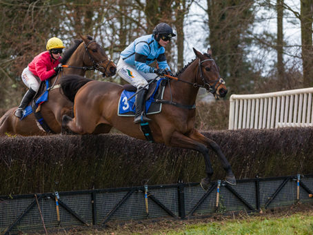 FIVE TO FOLLOW 2025/2026: GINA ANDREWS