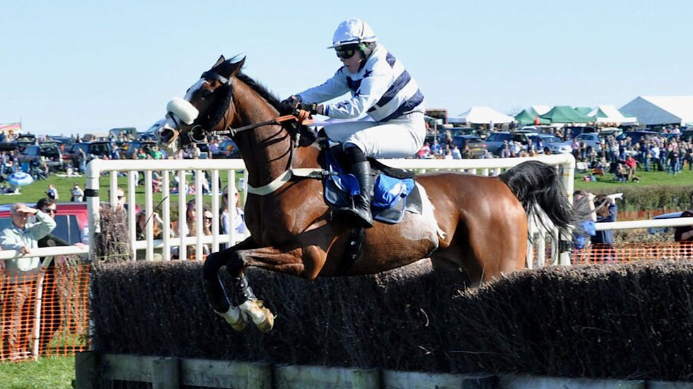 Clara Brewitt and Kilfilum Woods en route to Siddington success (Alun Sedgmore)