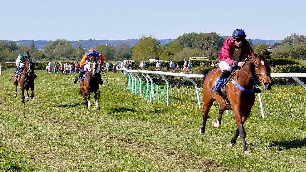 Dan Cherriman is clear close home on Hugos New Horse (Alun Sedgmore)