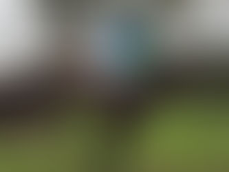 DISPATCHES FROM THE SOUTH AND WEST MIDLANDS: 7 DECEMBER