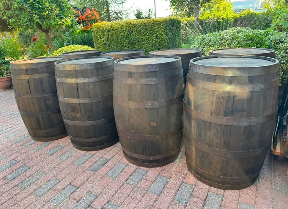 Landscape image of a row of oak barrels in a brewery setting